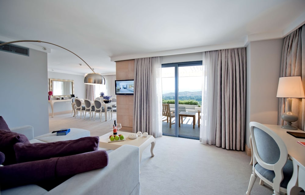 Deluxe Suite, 1 King Bed, Non Smoking - Photo 1