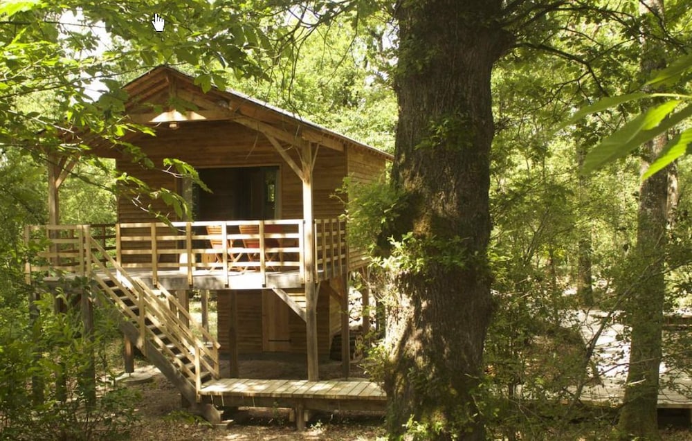 Ecolodge (L'Ornitho) photo 3