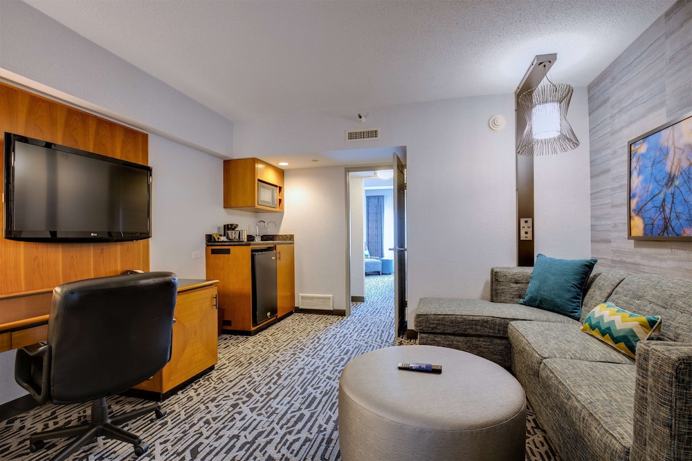 Suite, 1 King Bed, Non Smoking photo 1