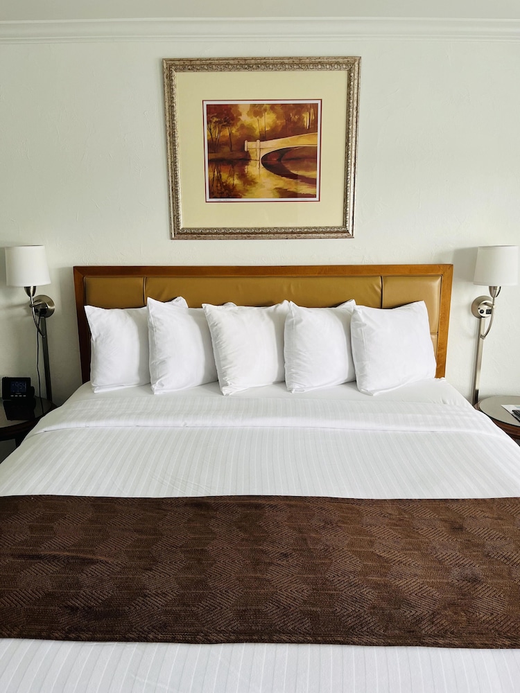 Standard Room, 1 King Bed, Non Smoking photo 1