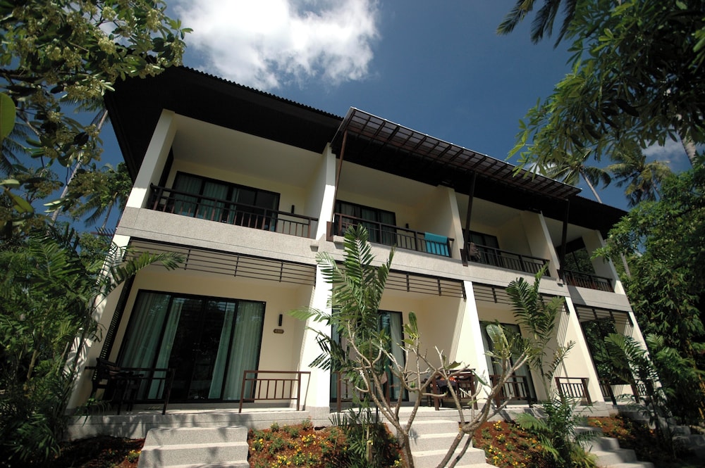 Tropical Chalay (Sunrise Wing) - Photo 3