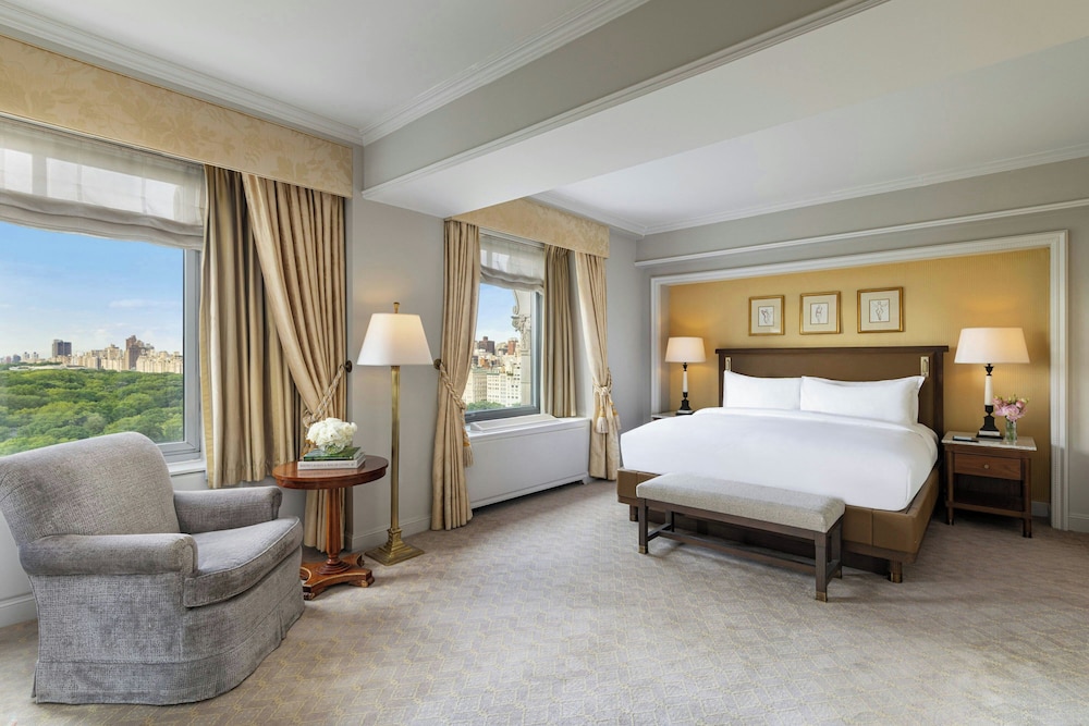 Suite, 1 King Bed with Sofa bed