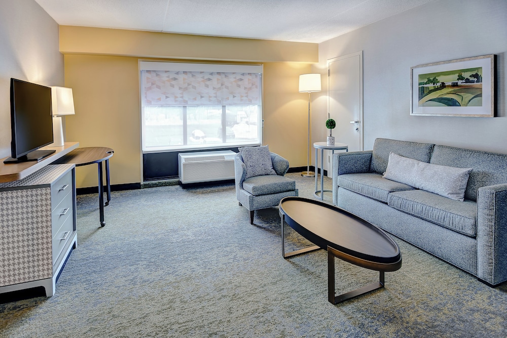 Suite, 1 King Bed, Accessible Bathtub (Mobility) photo 2