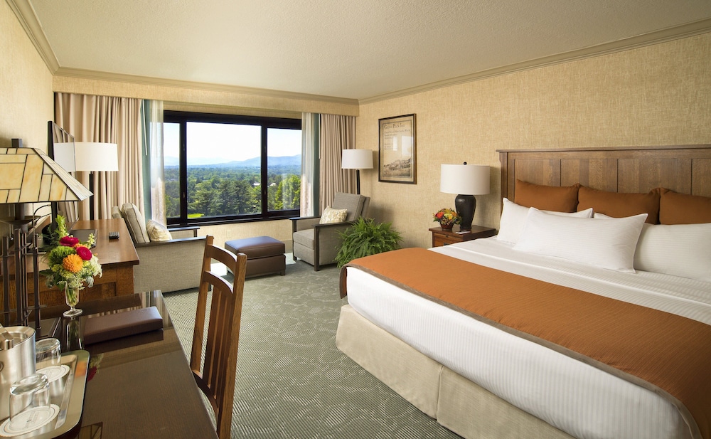 Room, 1 King Bed, Accessible, Mountain View