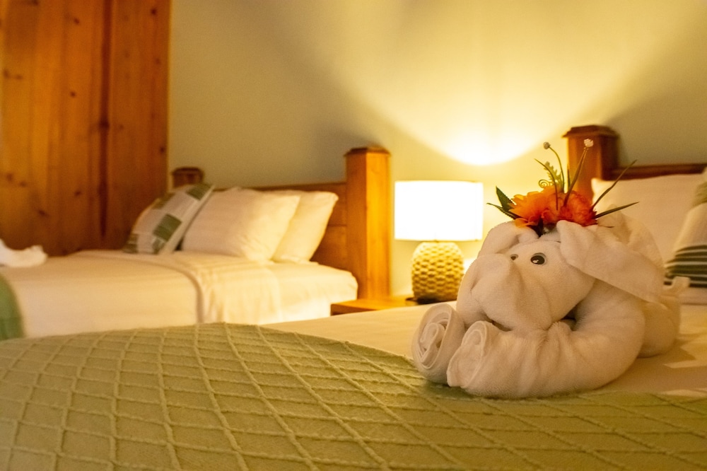 Family Double Room, 2 Double Beds, Mountain View photo 3