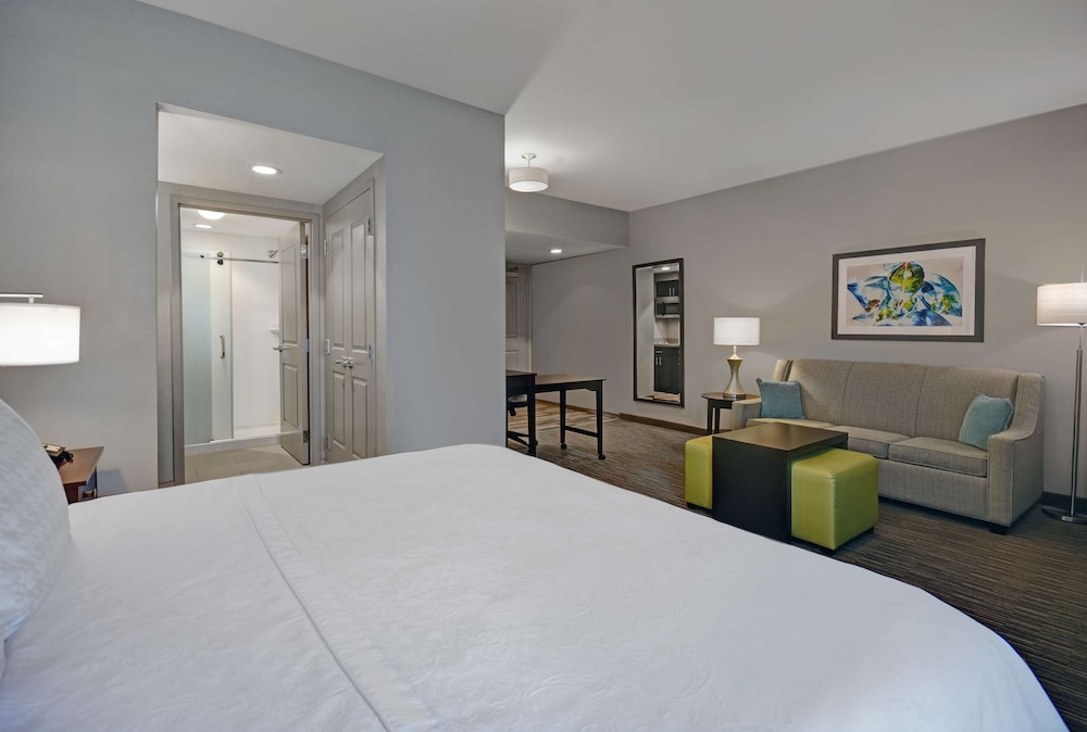 Studio Suite, 1 King Bed photo 1