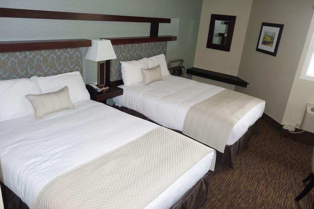Room, Multiple Beds, Non Smoking photo 2