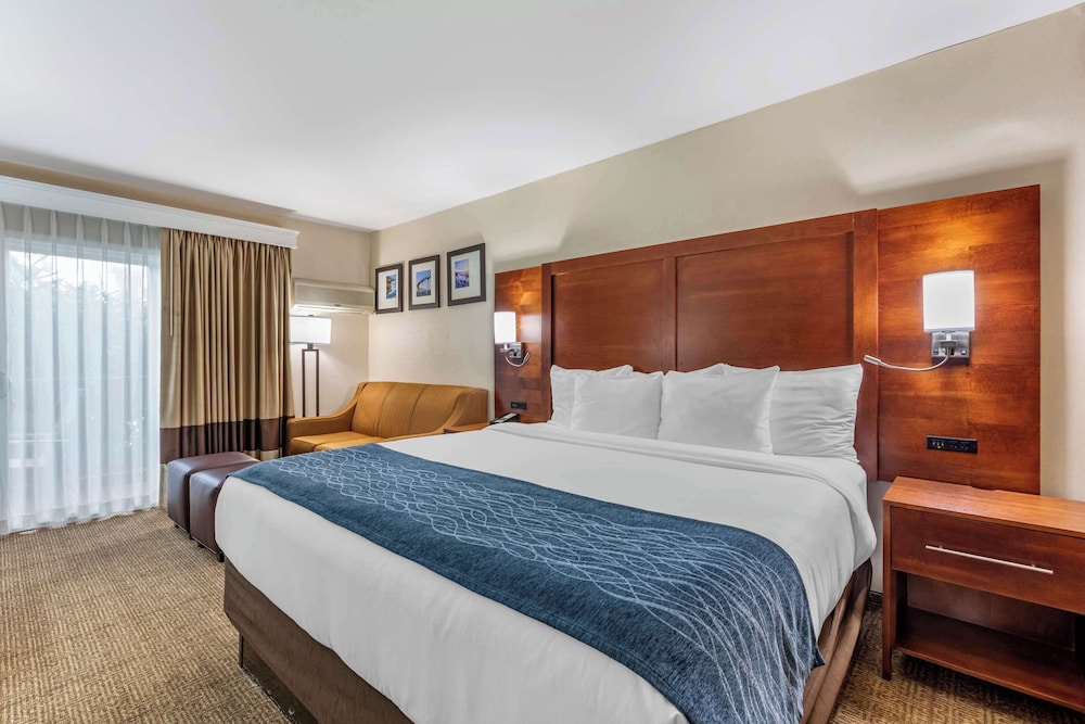 Deluxe Room, 1 King Bed with Sofa bed, Non Smoking, Hot Tub photo 1