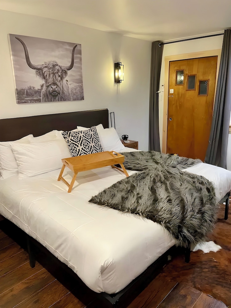Room, 1 King Bed