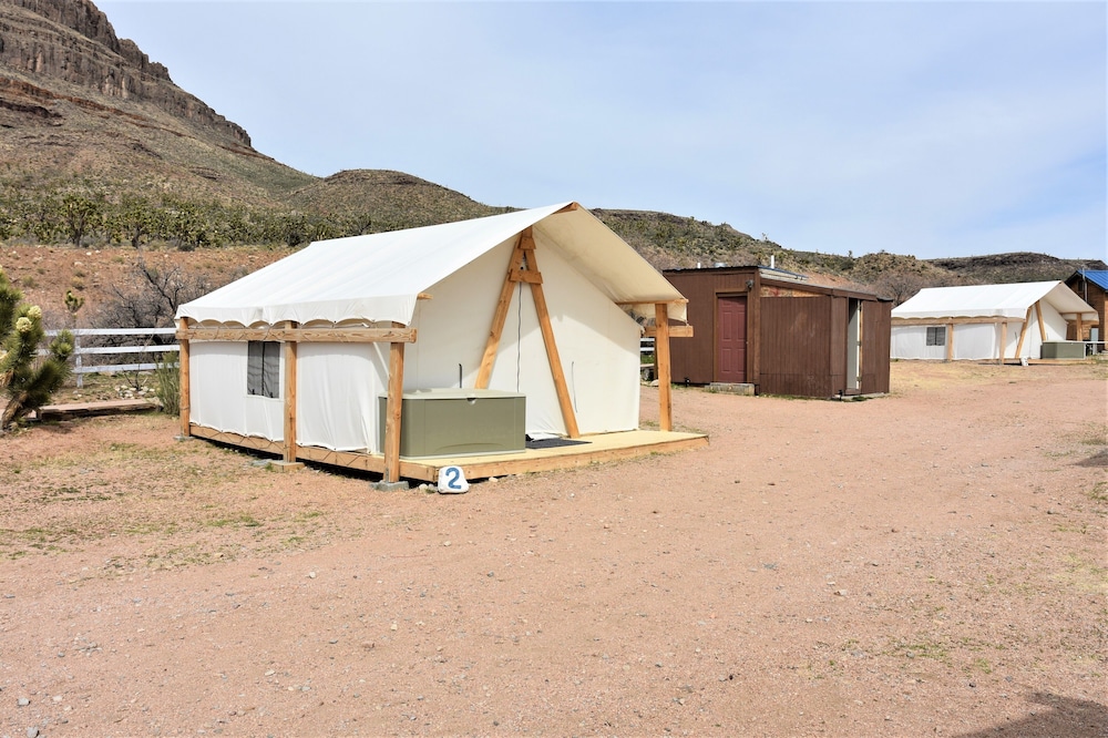 Tent (Glamping Medium) photo 2