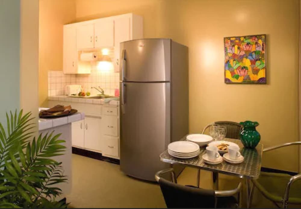 Studio Suite, 1 King Bed, Kitchen photo 3