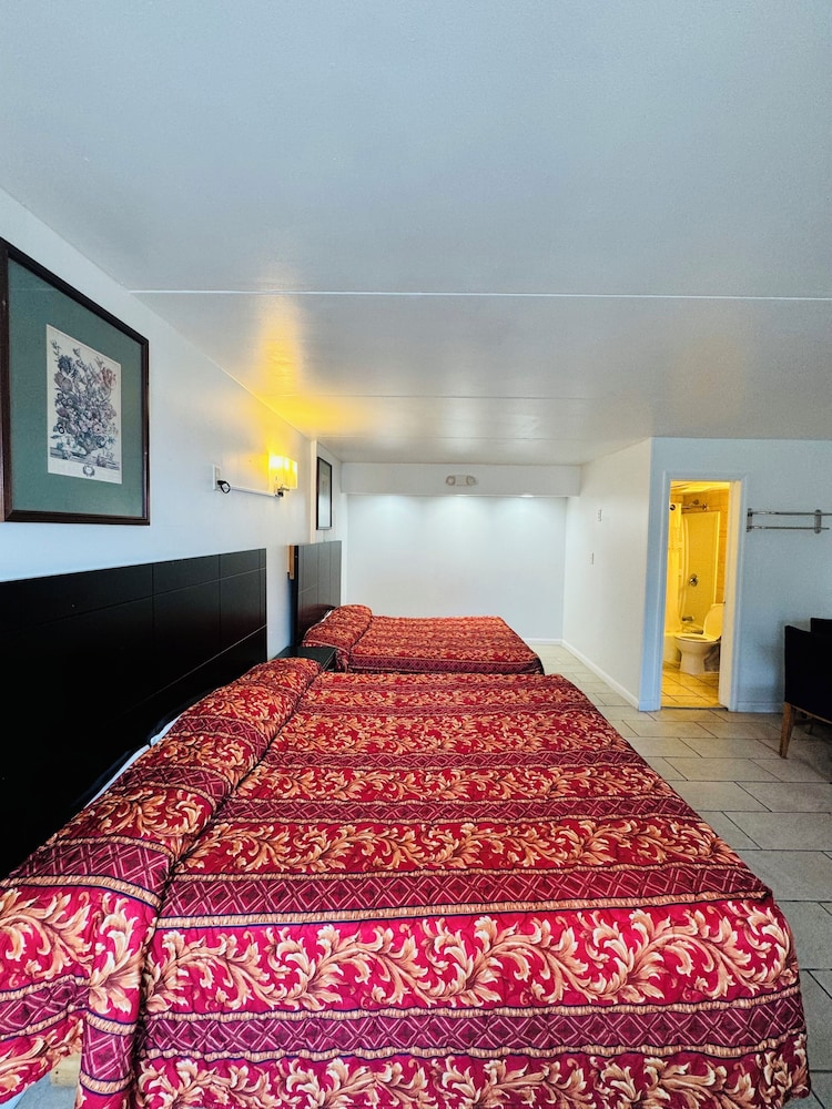 Suite - Photo 23
