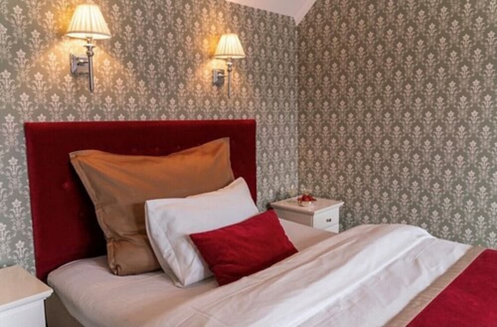 Double Or Twin Room, 1 Double Bed photo 3