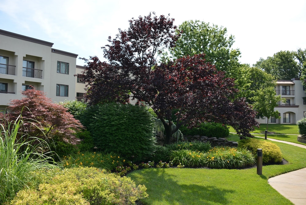 Suite, 2 Double Beds, Courtyard View - Photo 10