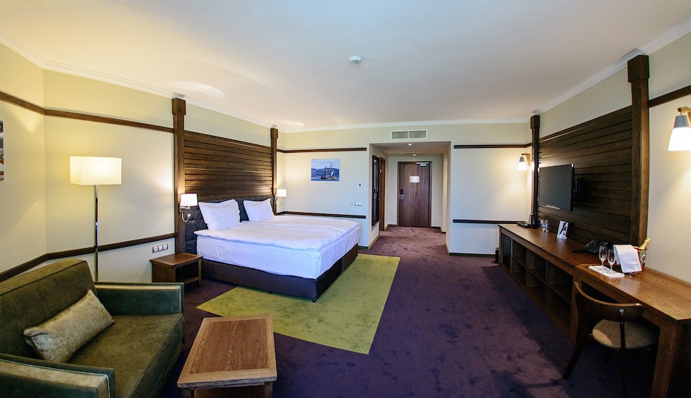 Executive Room, 1 King Bed, Non Smoking, Mountain View