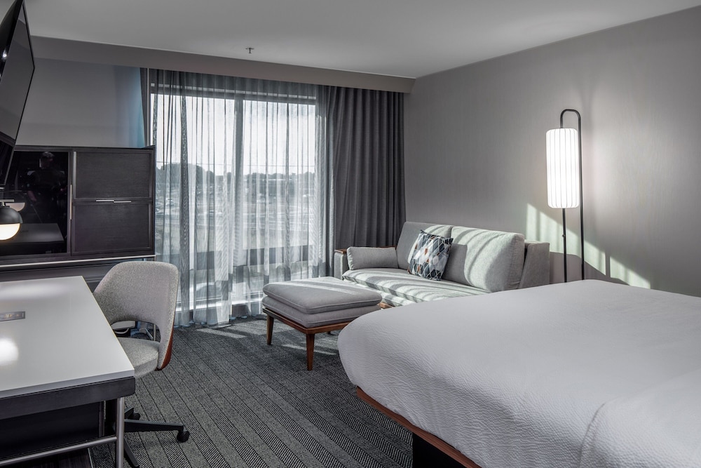 Room, 1 King Bed with Sofa bed (Mobility Accessible, Tub)