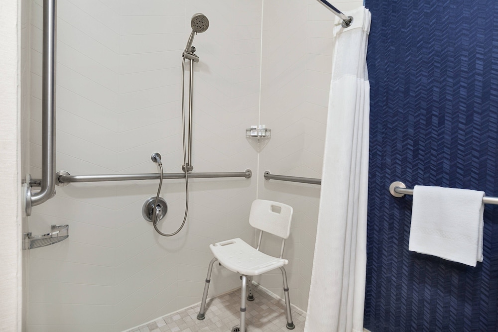 Room, 1 King Bed (Mobility Accessible, Roll-In Shower) - Photo 5