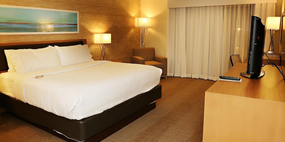 Standard Room, 1 King Bed, Accessible (Mobility Roll-In Shower) - Photo 1