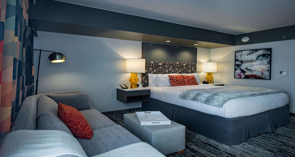 Standard Room, 1 King Bed, Non Smoking (Walk-in Shower;with Sofabed) - Photo 4