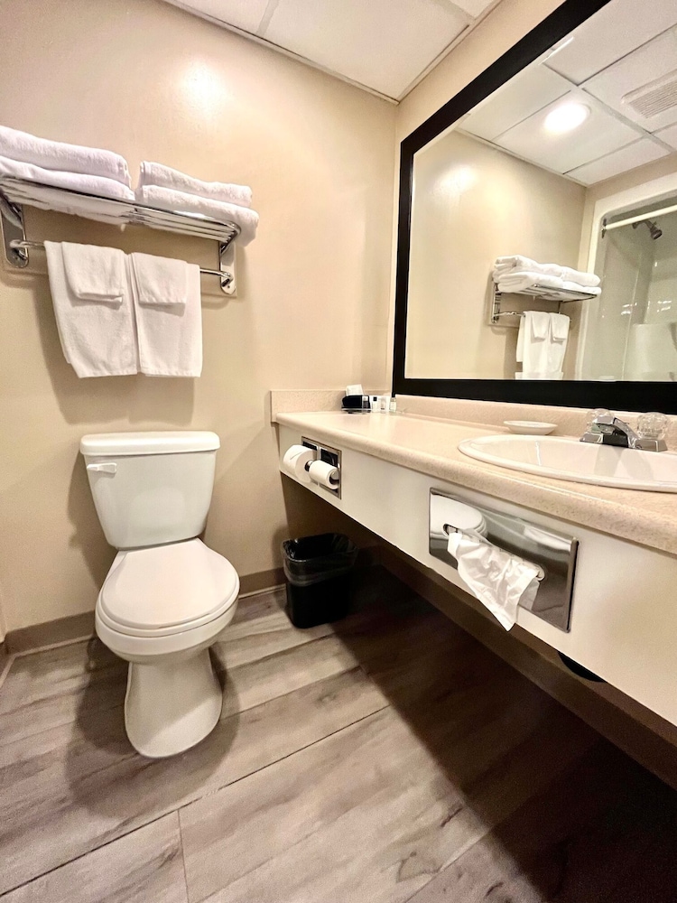 Business Room, 1 King Bed photo 2