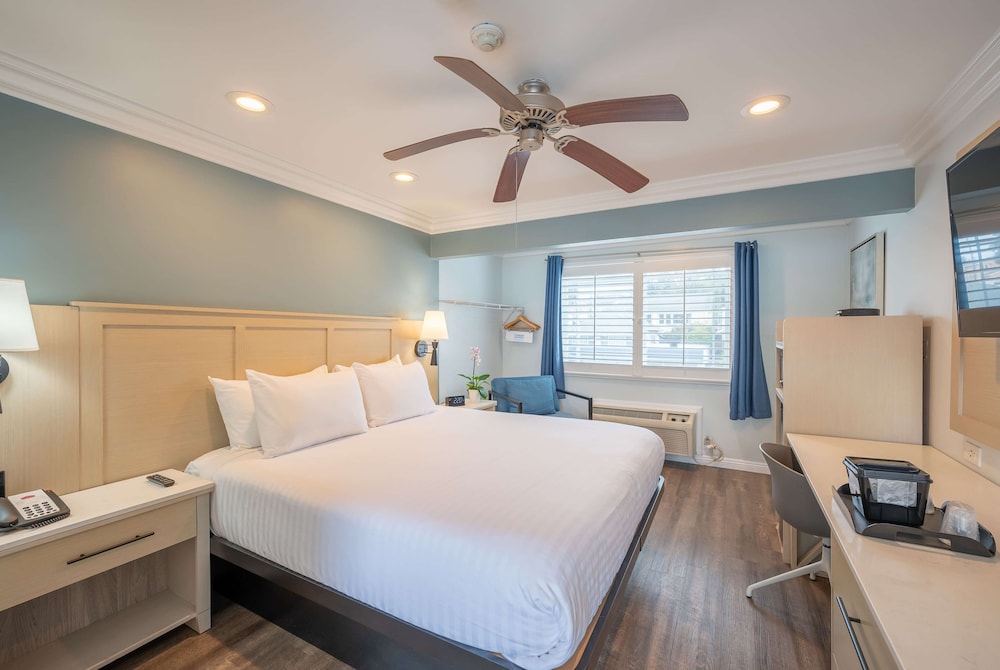 Room, 1 King Bed, Accessible, Non Smoking (Mobility/Hearing, Roll-In Shower) - Photo 1