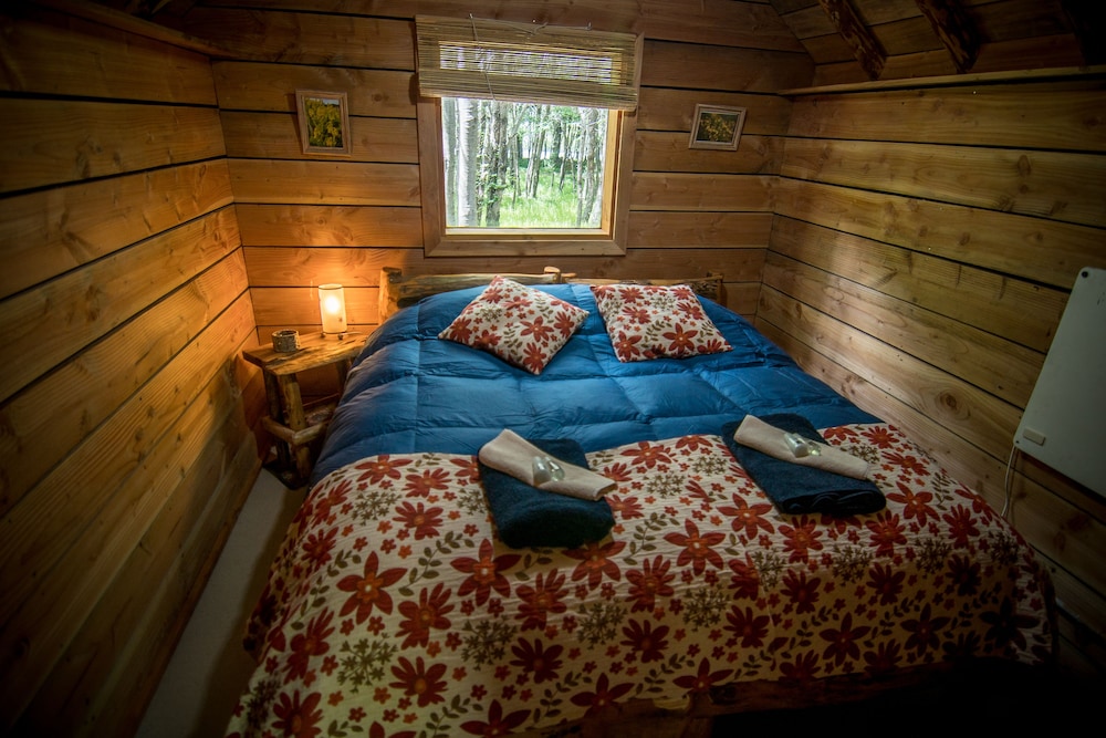 Standard Cabin, 1 Bedroom, Private Bathroom, Park View photo 3