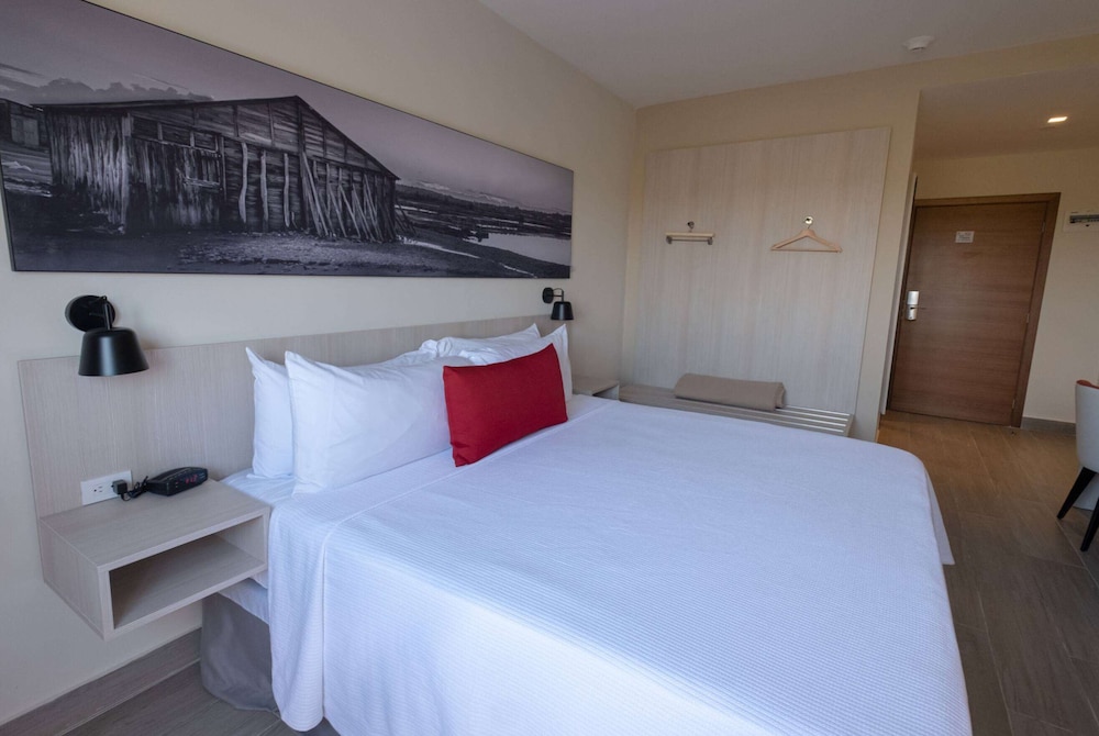 Business Room, 1 King Bed, Accessible, Non Smoking (Roll-In Shower) photo 1