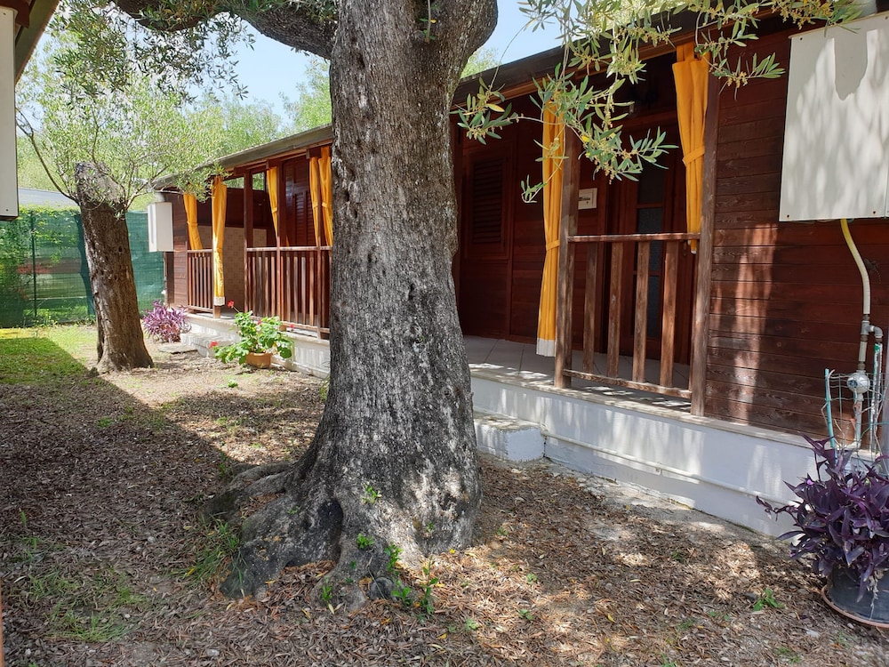 Bungalow