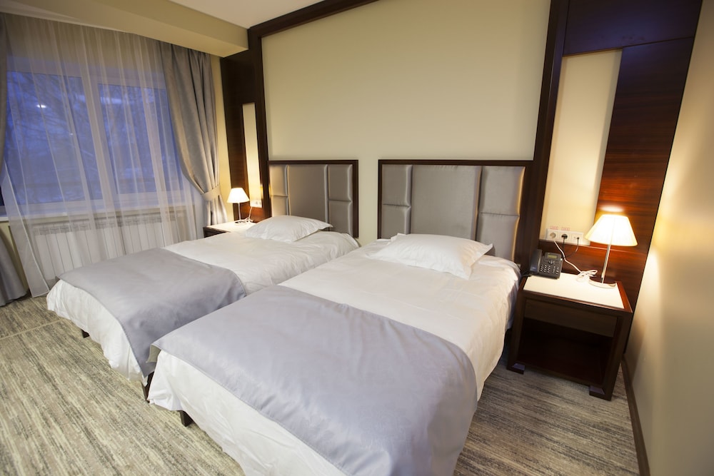 Standard Double or Twin Room (+)