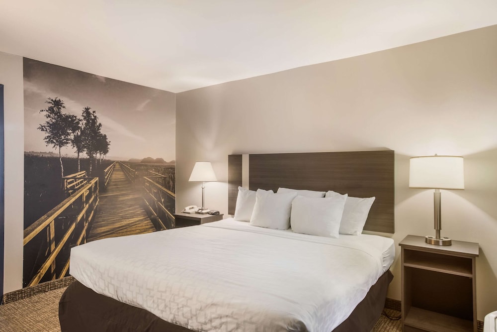 Room, 1 King Bed, Accessible, Non Smoking photo 1