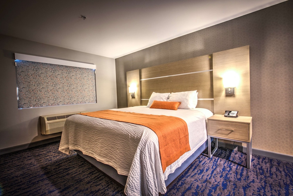 Suite, 1 King Bed, Non Smoking (Oversized Room;with Sofabed) photo 3