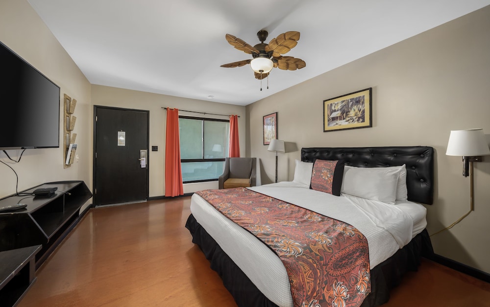 Basic Twin Room - Photo 3
