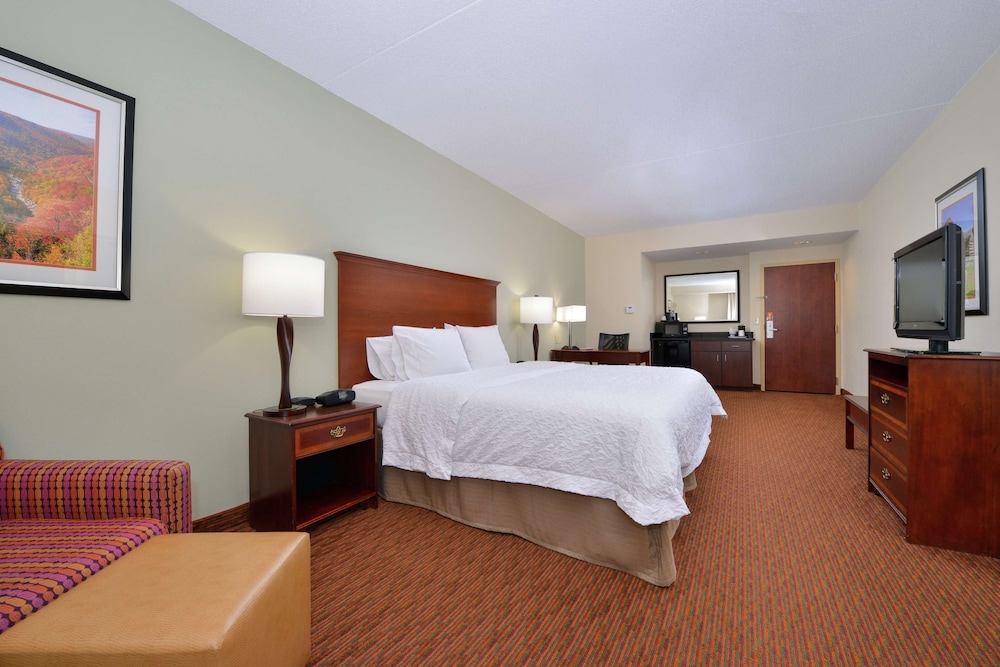 Large, One King Bed, Non-Smoking photo 2