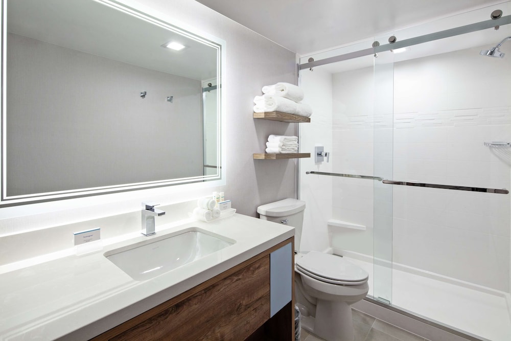 Suite, 1 King Bed (Hearing) - Photo 8