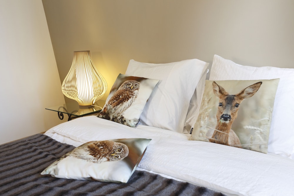 Comfort Apartment, Private Bathroom, City View (CHENONCEAU) photo 1