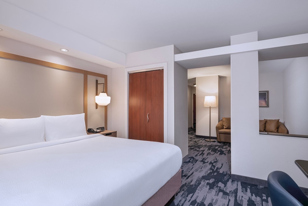 Executive Suite, 1 King Bed (Hearing Accessible) - Photo 1