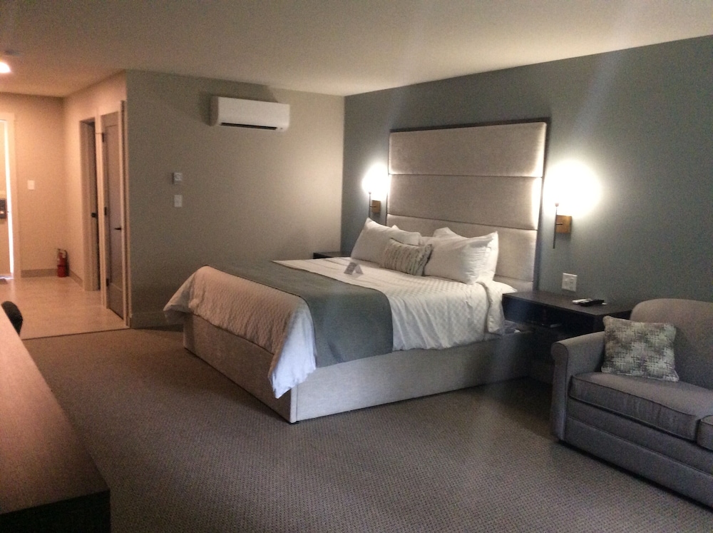 Deluxe Single Room, 1 King Bed with Sofa bed