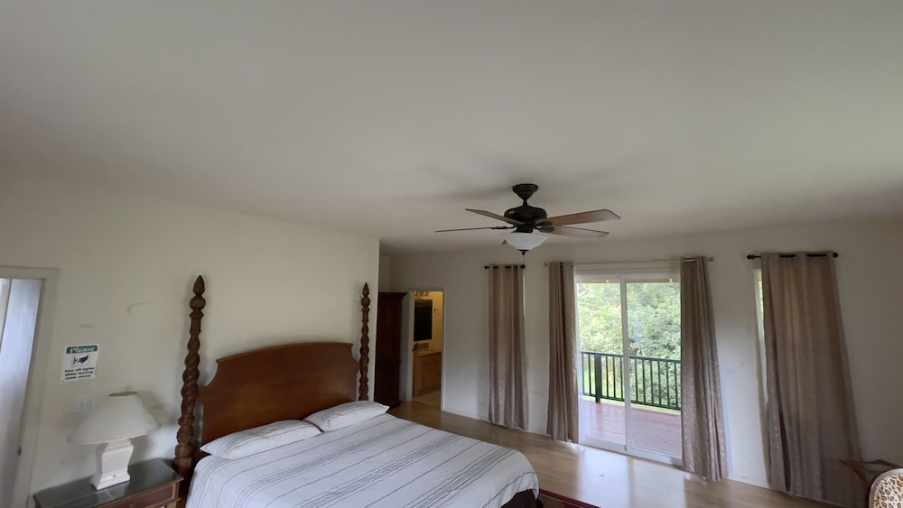 Room (Rainforest) - Photo 6