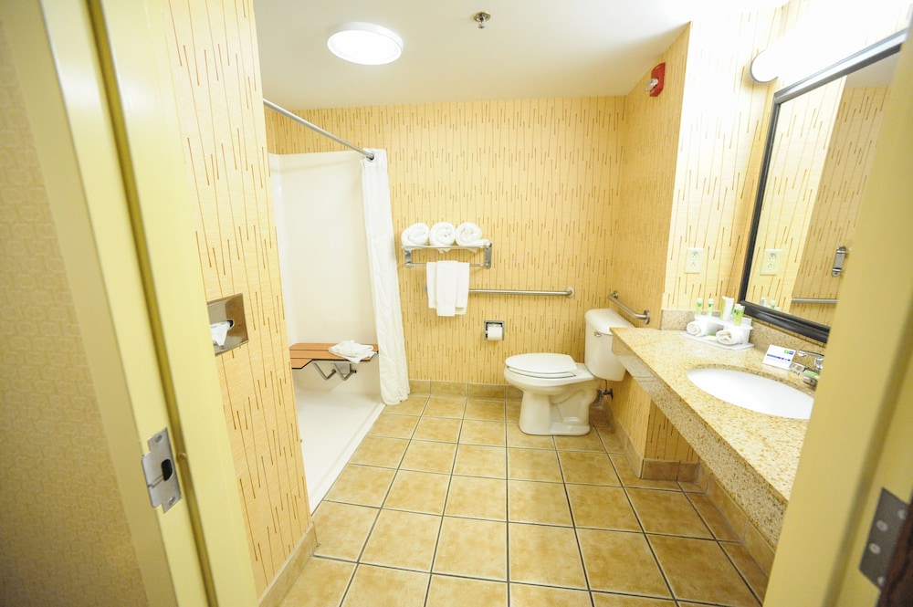 Standard Room, 1 King Bed, Accessible (Communications, Mobility) - Photo 1