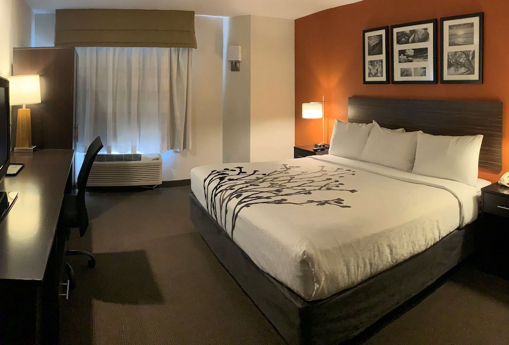 Business Room, 1 King Bed, Non Smoking - Photo 3