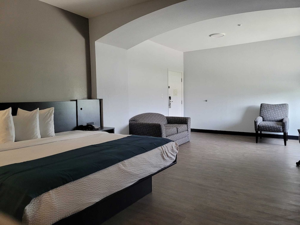 Standard Suite, 1 King Bed, Non Smoking photo 2