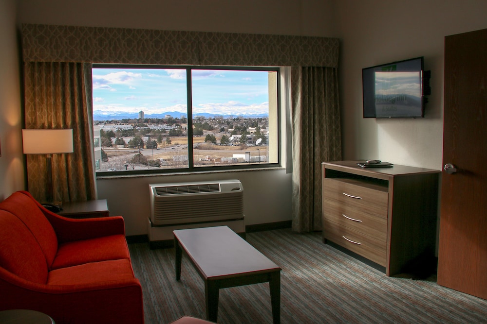 Suite, 1 King Bed, Accessible, Non Smoking (Comm, Roll Shwr) photo 1