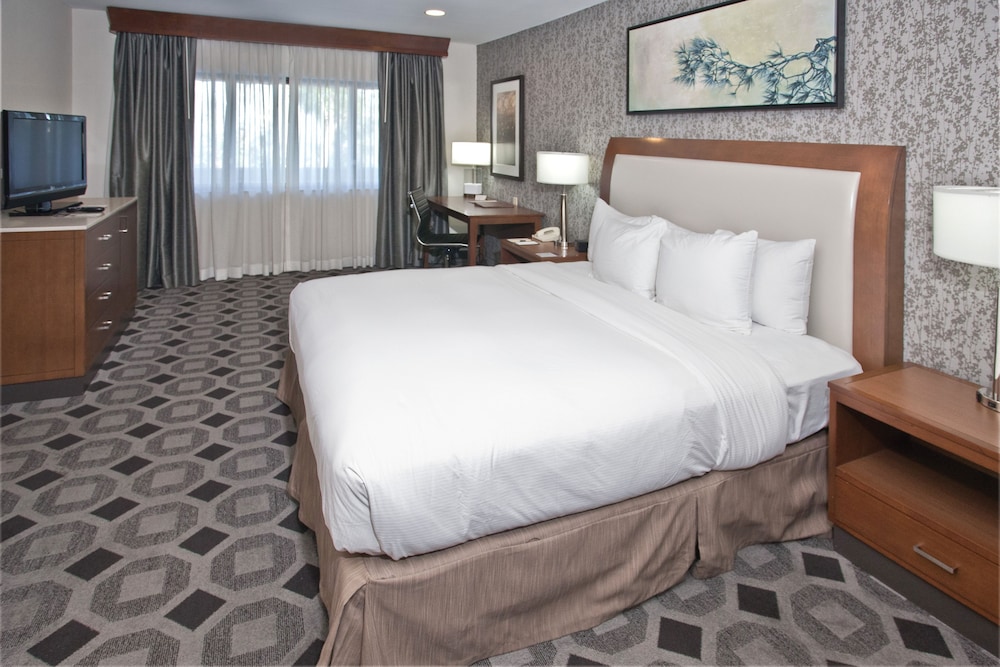 Suite, 1 King Bed, Non Smoking - Photo 3
