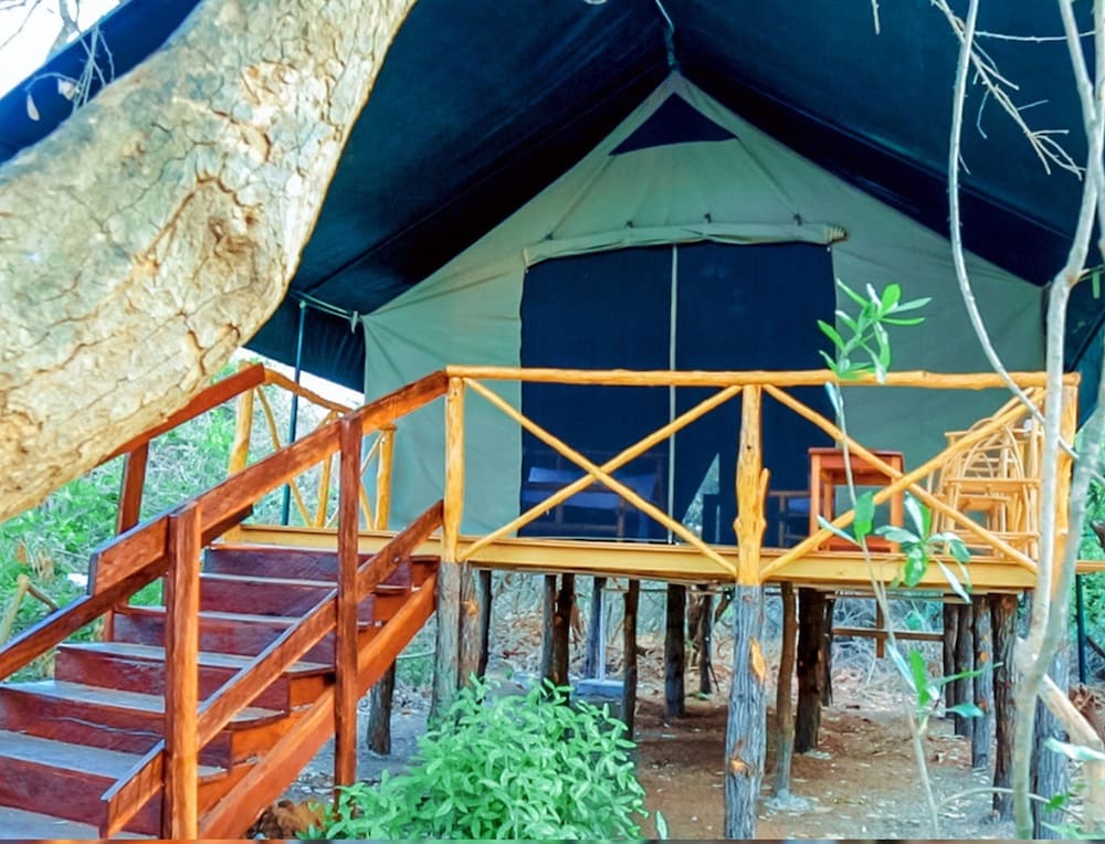 Deluxe Tent photo 2