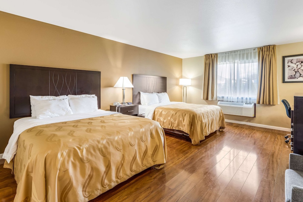 Room, Multiple Beds, Non Smoking (Pet Friendly) photo 1