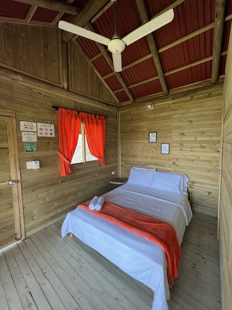 Premium Cabin photo 2