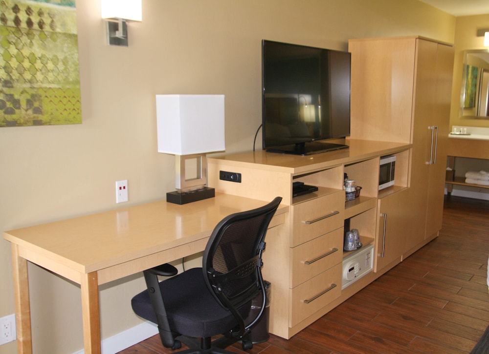 Suite, 1 Queen Bed, Accessible, Non Smoking (Walk-in Shower;with Sofabed) - Photo 9