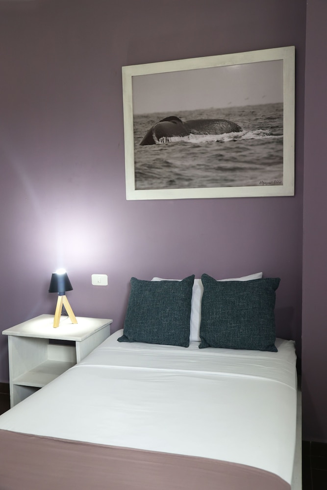 Comfort Single Room, 1 Bedroom photo 1