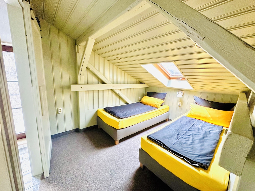 Studio Urpflanzen