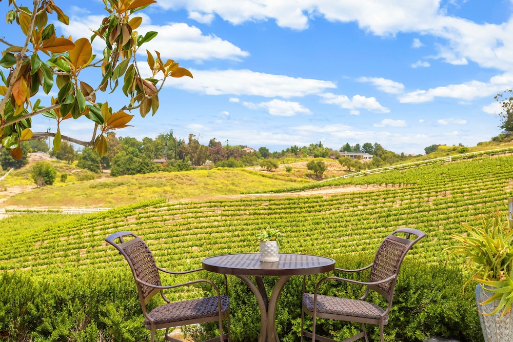 Grand Studio Suite, 1 King Bed, Vineyard View photo 3